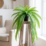 Velmora | Artificial Boston Fern UV Resistant Lifelike Design – Perfect For Indoor And Outdoor Spaces — lifestyle