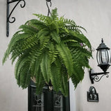 Velmora | Artificial Boston Fern UV Resistant Lifelike Design – Perfect For Indoor And Outdoor Spaces 1