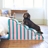 Velmora | Dog Stairs Non-Slip Easy Access – Ideal For Small And Senior Dogs 3