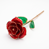 Velmora | 24K Gold Rose Unique Gift for Eternal Love – Real Flower Preserved in Resin — product shot